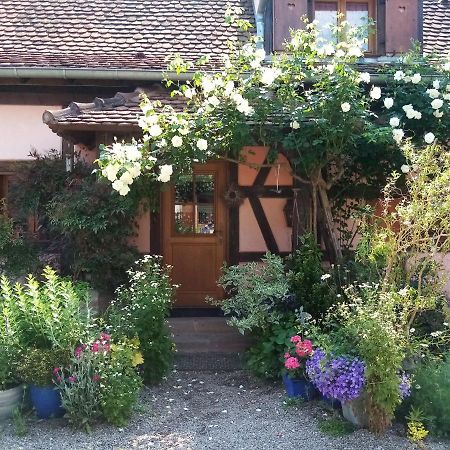 Bed and Breakfast Hissele à Hilsenheim Extérieur photo